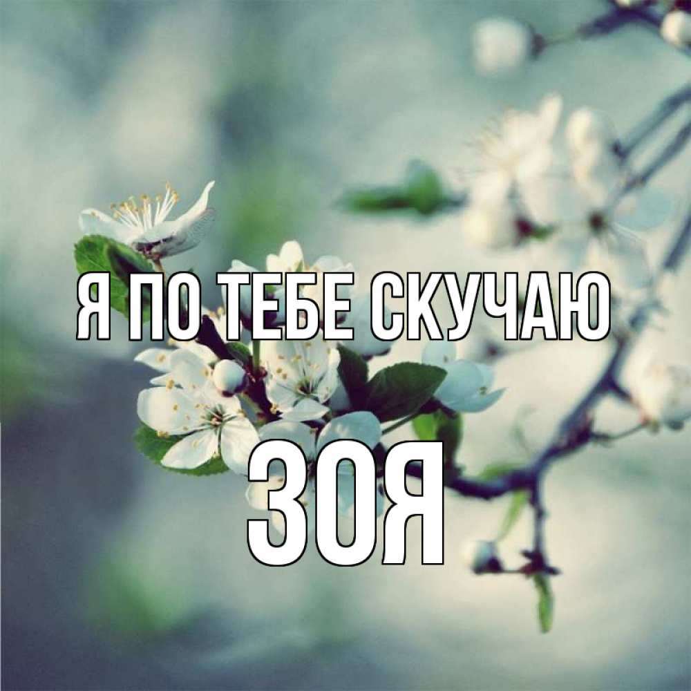 Открытка на каждый день с именем, Зоя Я по тебе скучаю весна Прикольная открытка с пожеланием онлайн скачать бесплатно 