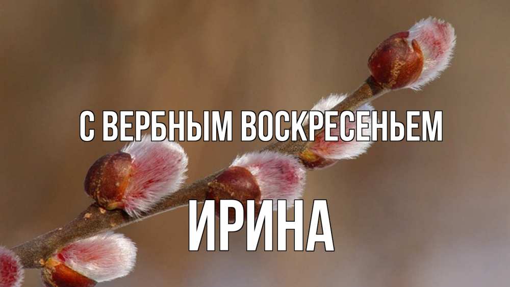 Открытка на каждый день с именем, Ирина С вербным воскресеньем верба Прикольная открытка с пожеланием онлайн скачать бесплатно 