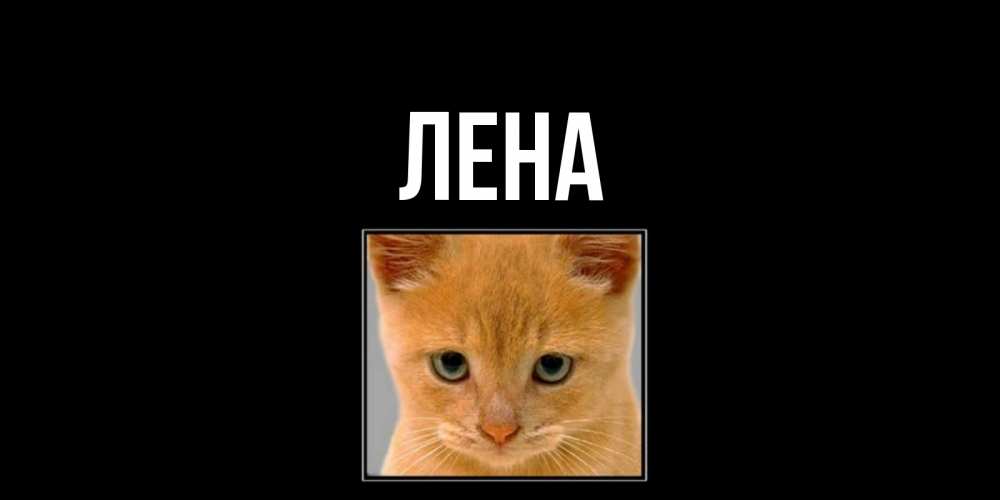 Открытка на каждый день с именем, Лена Главная открытки рыжий котенок скучает по тебе Прикольная открытка с пожеланием онлайн скачать бесплатно 