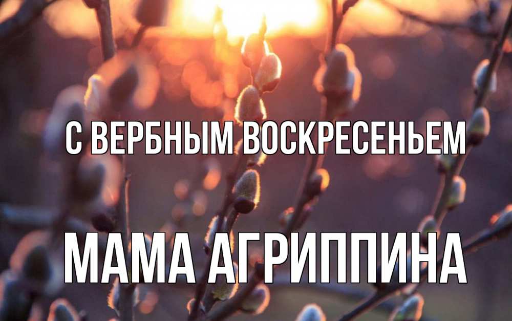 Открытка на каждый день с именем, Мама-Агриппина С вербным воскресеньем верба Прикольная открытка с пожеланием онлайн скачать бесплатно 