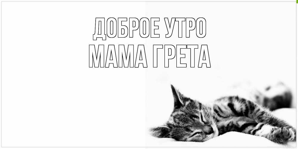 Открытка на каждый день с именем, Мама-Грета Доброе утро котуся Прикольная открытка с пожеланием онлайн скачать бесплатно 