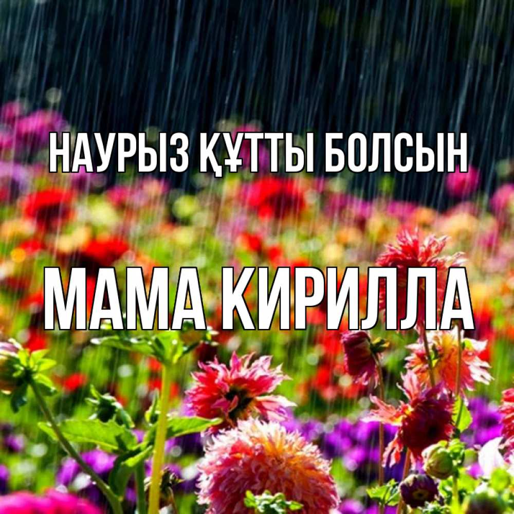 Открытка на каждый день с именем, Мама-Кирилла Наурыз құтты болсын цветы под дождиком к наурызу Прикольная открытка с пожеланием онлайн скачать бесплатно 