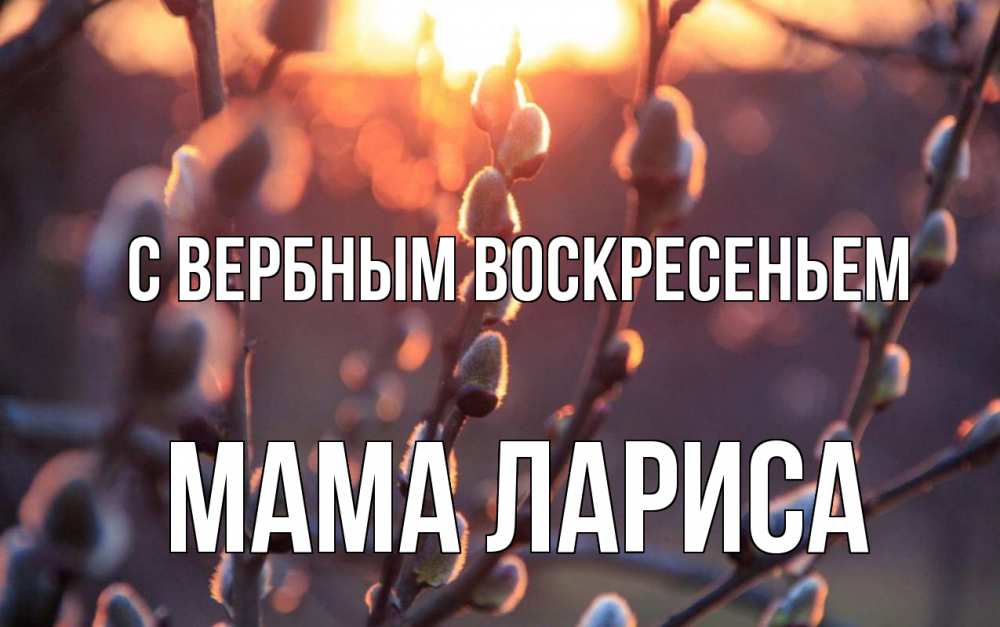 Открытка на каждый день с именем, Мама-Лариса С вербным воскресеньем верба Прикольная открытка с пожеланием онлайн скачать бесплатно 