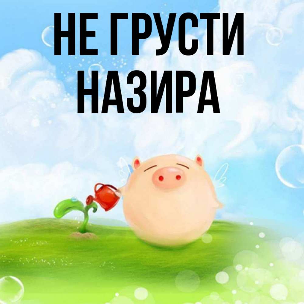 Открытка на каждый день с именем, Назира Не грусти поливает цветок порося Прикольная открытка с пожеланием онлайн скачать бесплатно 