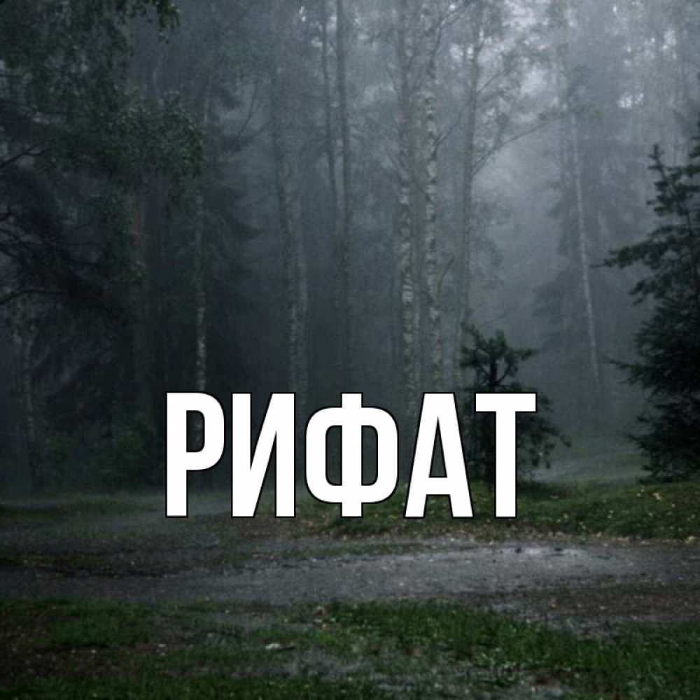 Открытка на каждый день с именем, Рифат Главная осень Прикольная открытка с пожеланием онлайн скачать бесплатно 