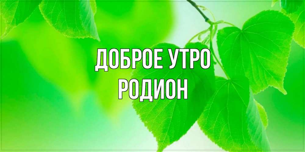 Открытка на каждый день с именем, Родион Доброе утро доброе утро с березовыми листьями Прикольная открытка с пожеланием онлайн скачать бесплатно 