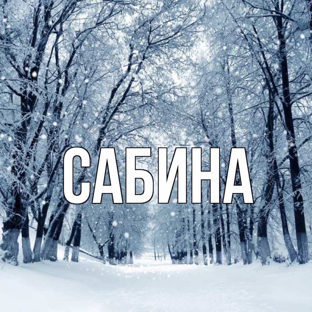Открытка на каждый день с именем, Сабина Главная снег, лес, парк Прикольная открытка с пожеланием онлайн скачать бесплатно 