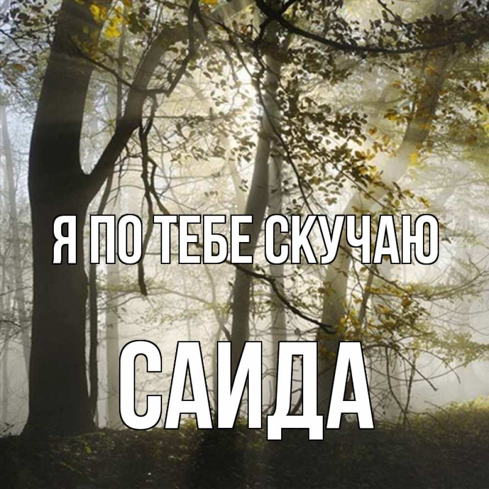 Открытка на каждый день с именем, Саида Я по тебе скучаю грустно Прикольная открытка с пожеланием онлайн скачать бесплатно 