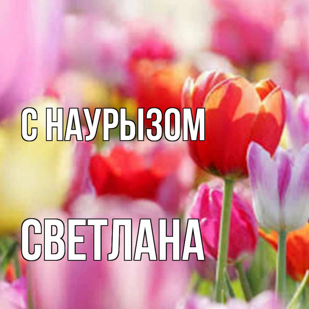 Открытка на каждый день с именем, Светлана С наурызом праздник весны наурыз 67 Прикольная открытка с пожеланием онлайн скачать бесплатно 