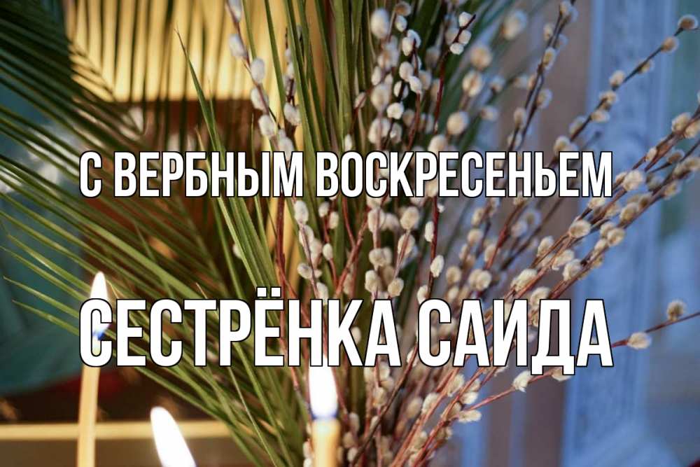 Открытка на каждый день с именем, Сестрёнка-Саида С вербным воскресеньем верба Прикольная открытка с пожеланием онлайн скачать бесплатно 