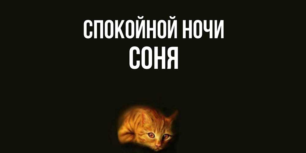 Открытка на каждый день с именем, Соня Спокойной ночи кот Прикольная открытка с пожеланием онлайн скачать бесплатно 