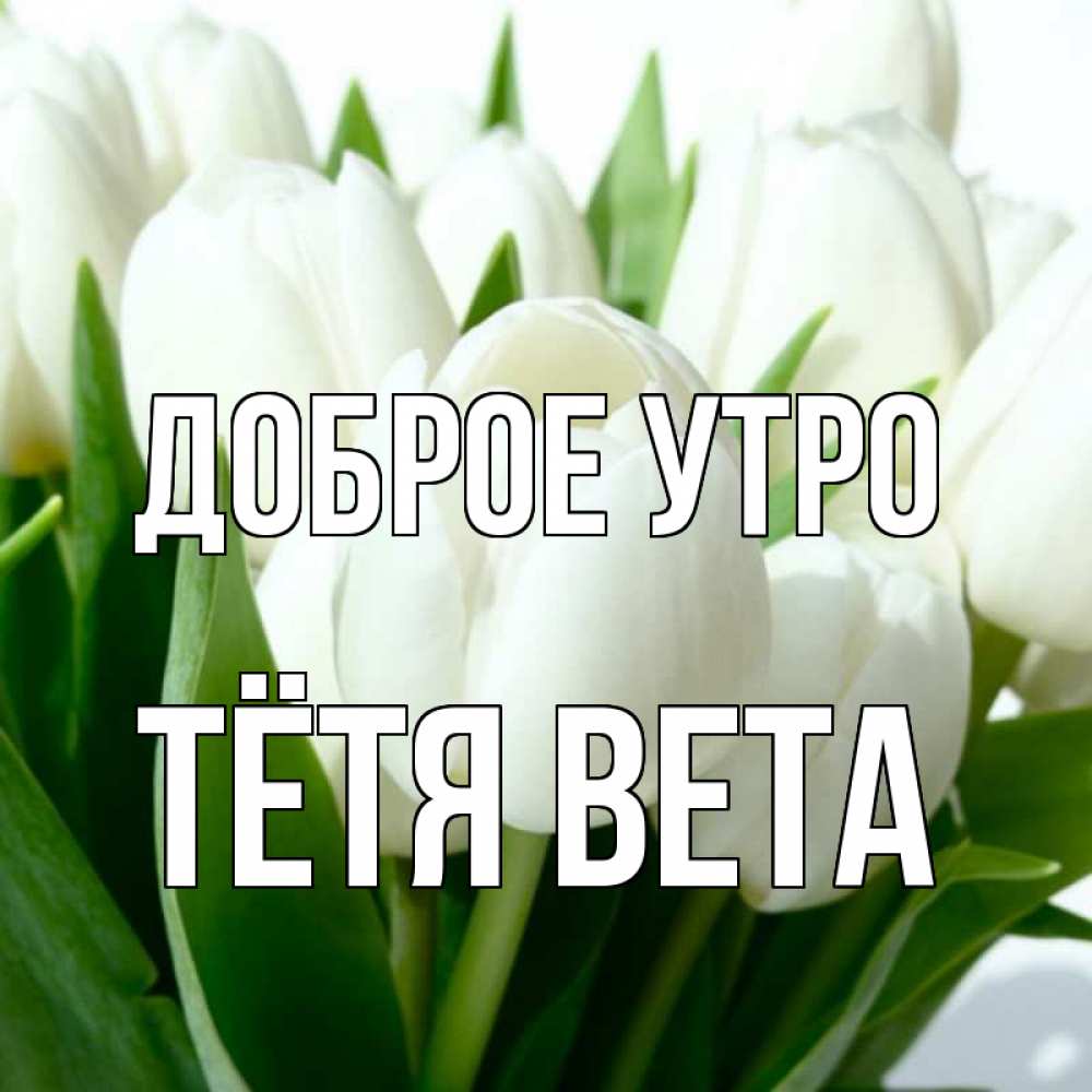 Открытка на каждый день с именем, Тётя-Вета Доброе утро открытки на каждый день по именам Прикольная открытка с пожеланием онлайн скачать бесплатно 