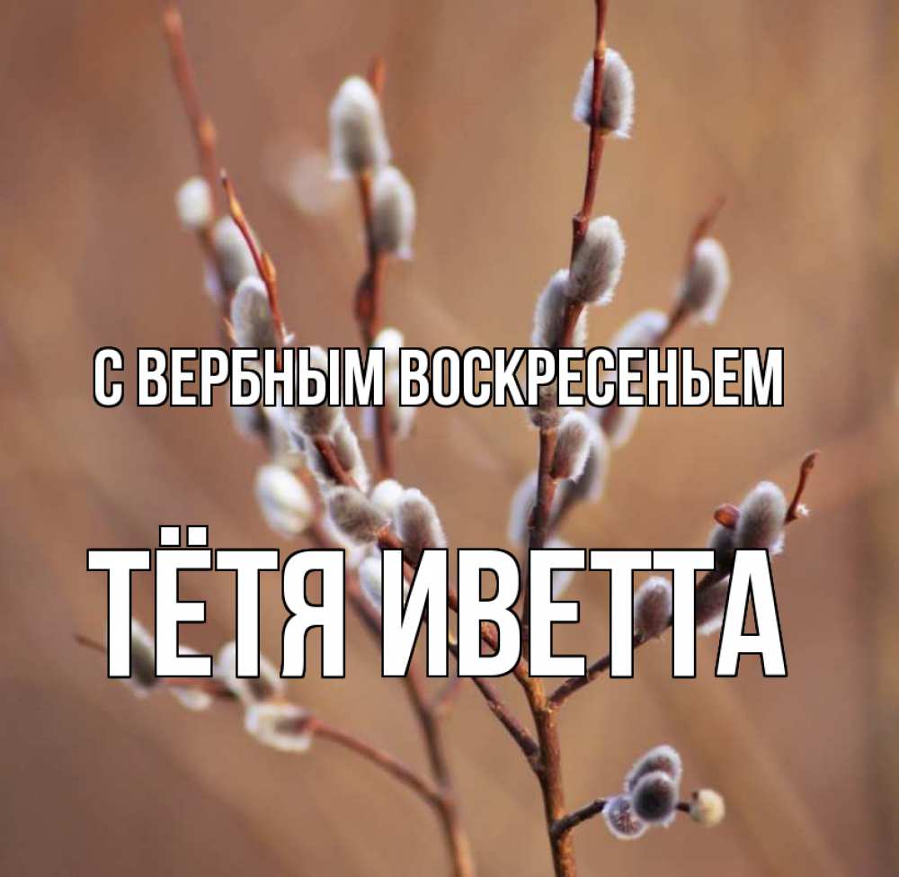 Открытка на каждый день с именем, Тётя-Иветта С вербным воскресеньем верба Прикольная открытка с пожеланием онлайн скачать бесплатно 