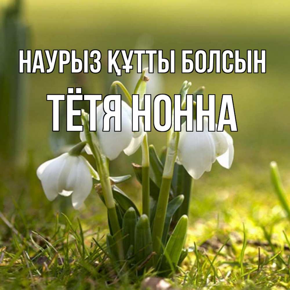 Открытка на каждый день с именем, Тётя-Нонна Наурыз құтты болсын ранние цветы 2 Прикольная открытка с пожеланием онлайн скачать бесплатно 