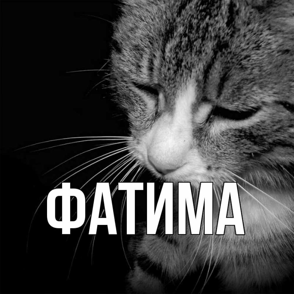 Открытка на каждый день с именем, Фатима Главная мне скучно Прикольная открытка с пожеланием онлайн скачать бесплатно 