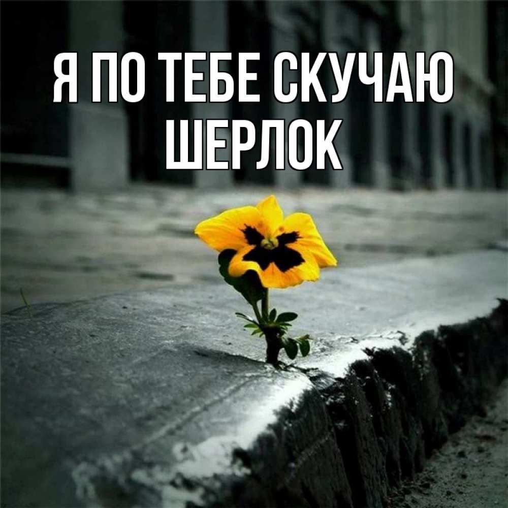 Открытка на каждый день с именем, Шерлок Я по тебе скучаю надеюсь будет лучше Прикольная открытка с пожеланием онлайн скачать бесплатно 