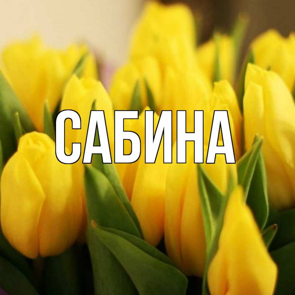 Картинка  с именем , Сабина