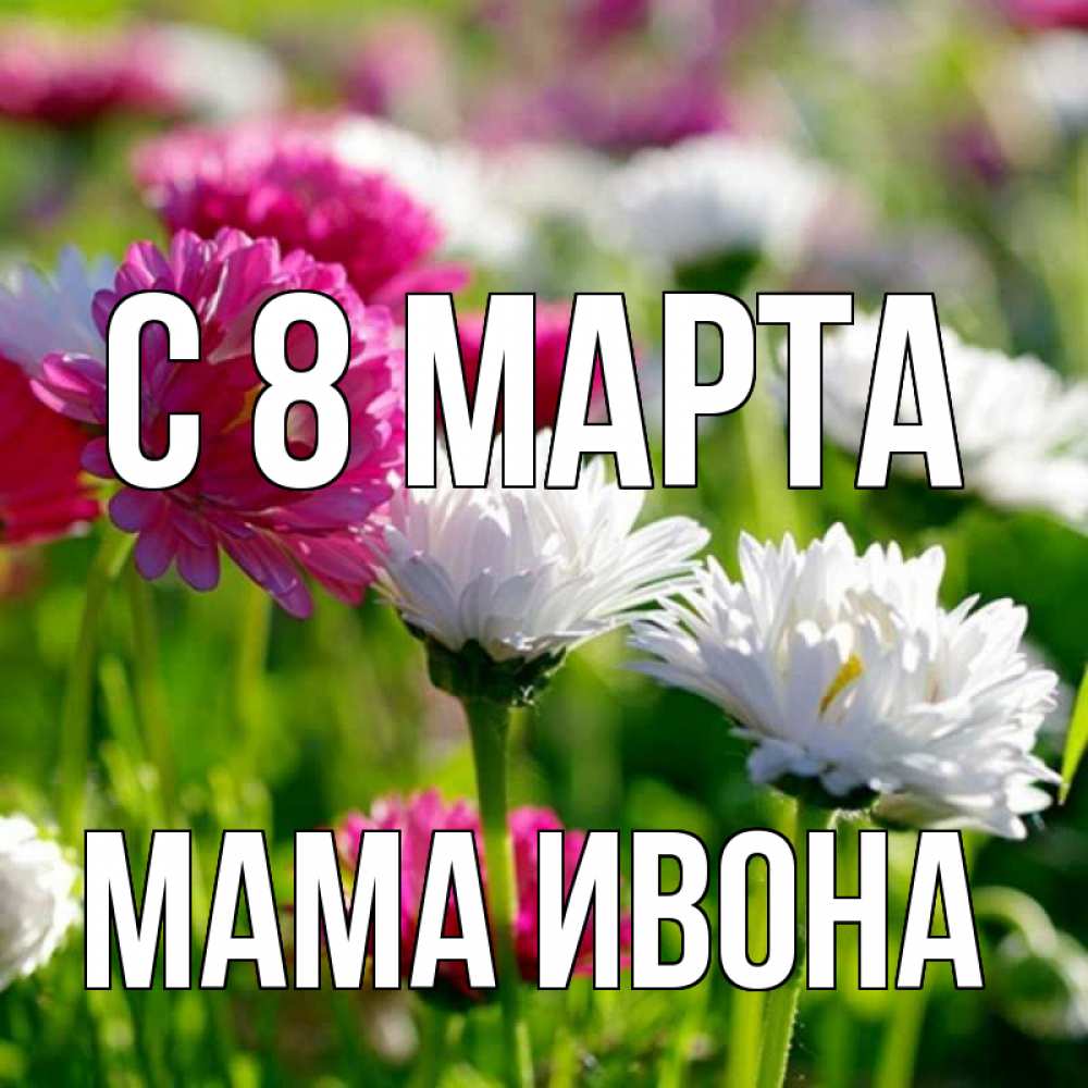Открытка на каждый день с именем, Мама-Ивона С 8 МАРТА международный женский день 1 Прикольная открытка с пожеланием онлайн скачать бесплатно 