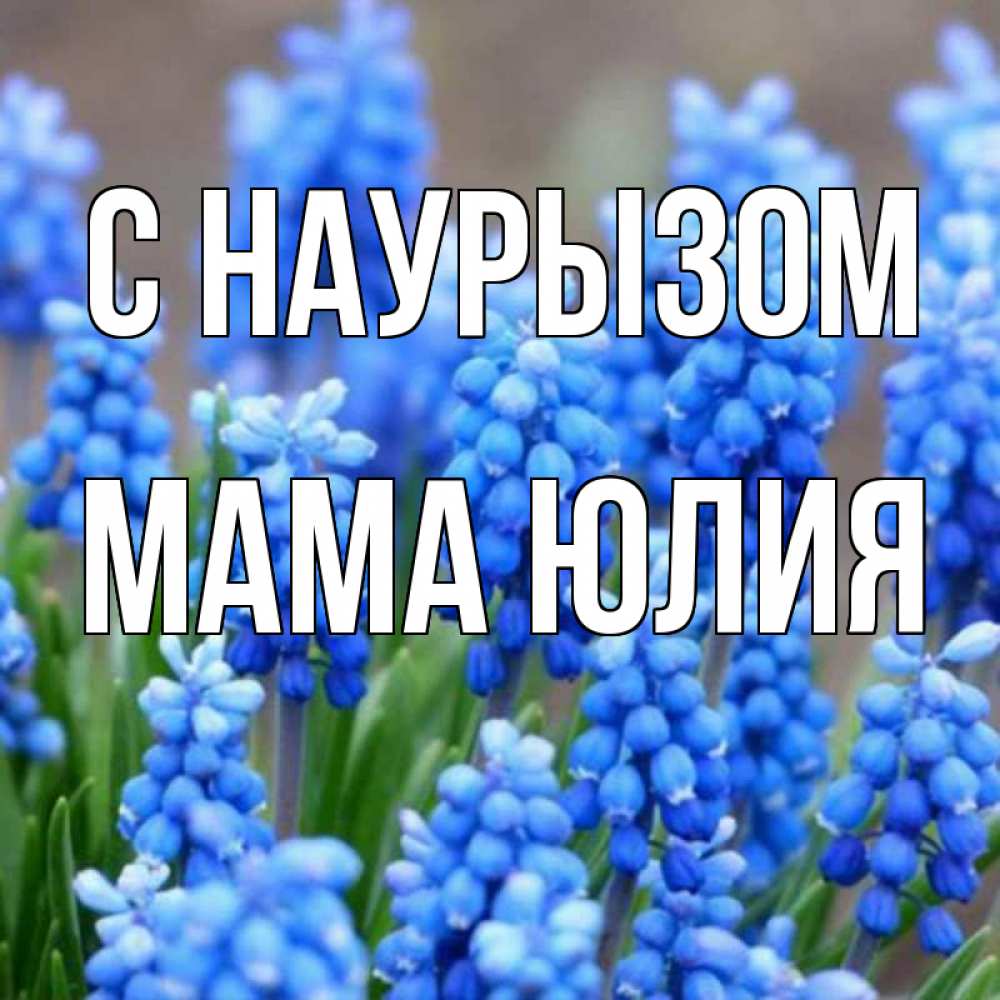 Открытка на каждый день с именем, Мама-Юлия С наурызом Поздравительная открытка для женщин с цветами на праздничную дату Прикольная открытка с пожеланием онлайн скачать бесплатно 