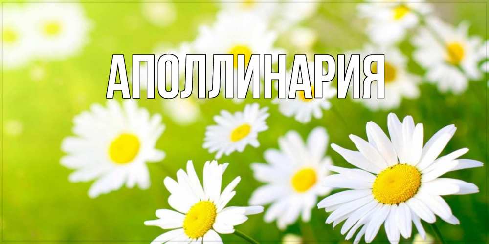 Открытка на каждый день с именем, Аполлинария Главная открытка с ромашками на зеленом фоне Прикольная открытка с пожеланием онлайн скачать бесплатно 