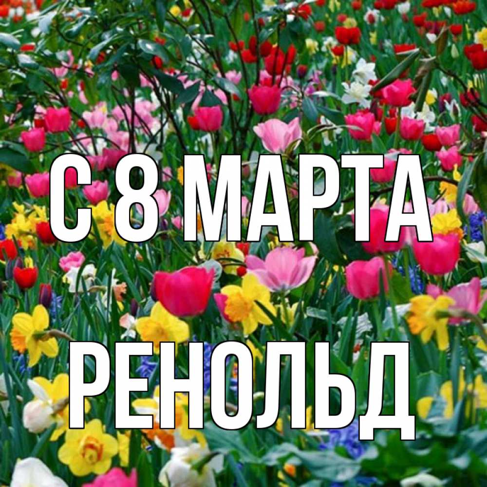 Открытка на каждый день с именем, Ренольд С 8 МАРТА с международным женским днем поздравления для женщины Прикольная открытка с пожеланием онлайн скачать бесплатно 