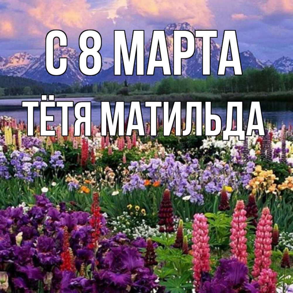 Открытка на каждый день с именем, Тётя-Матильда С 8 МАРТА международный женский день Прикольная открытка с пожеланием онлайн скачать бесплатно 