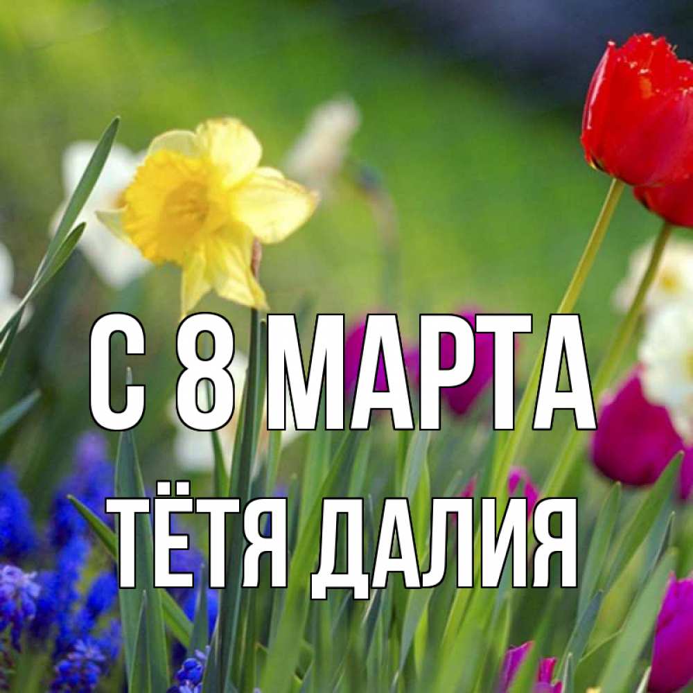 Открытка на каждый день с именем, Тётя-Далия С 8 марта международный женский день 3 Прикольная открытка с пожеланием онлайн скачать бесплатно 