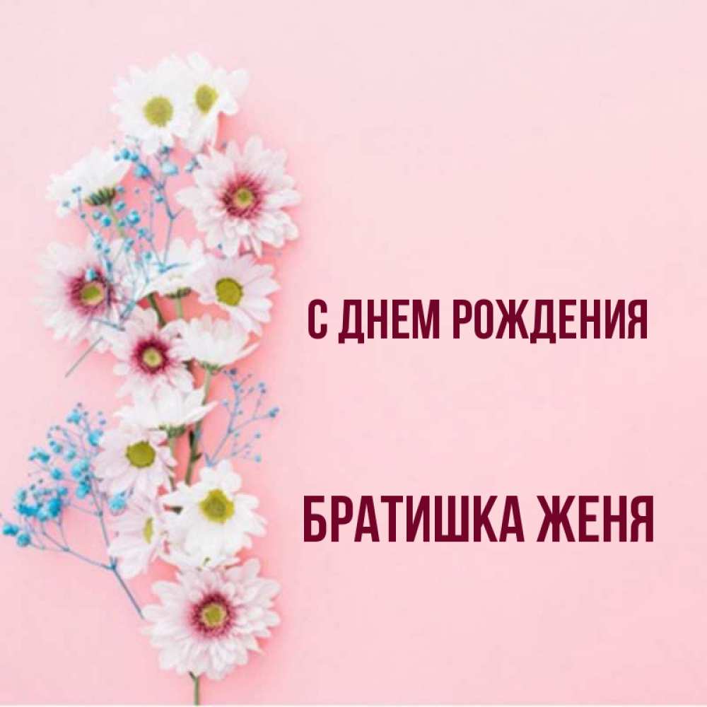Картинки с днем рождения брата жене брата