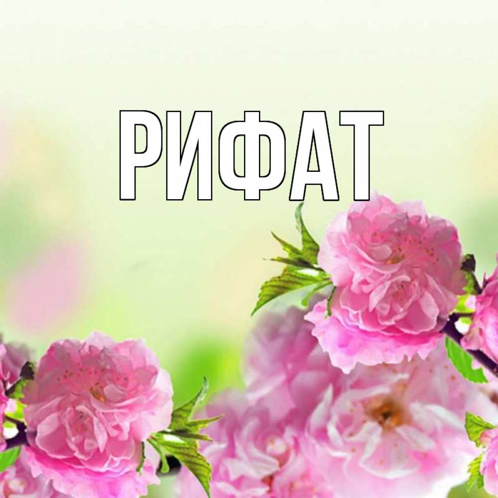 Поздравлениями, картинки с надписью маликат