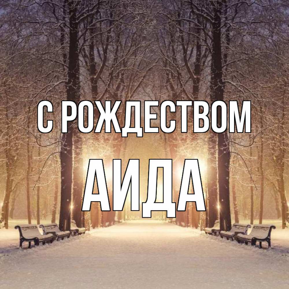 Открытка на каждый день с именем, Аида С рождеством зима, парк, фонарь, лес Прикольная открытка с пожеланием онлайн скачать бесплатно 