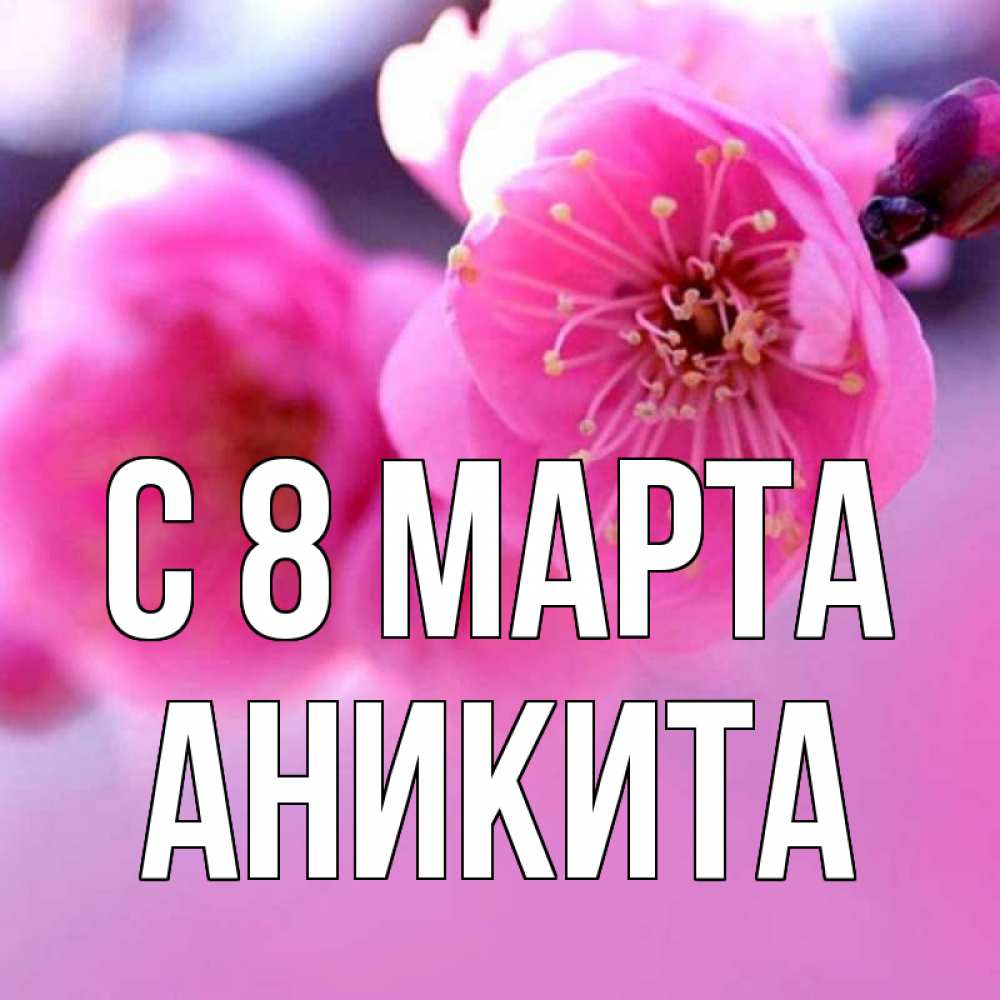 Открытка на каждый день с именем, Аникита С 8 марта международный женский день Прикольная открытка с пожеланием онлайн скачать бесплатно 