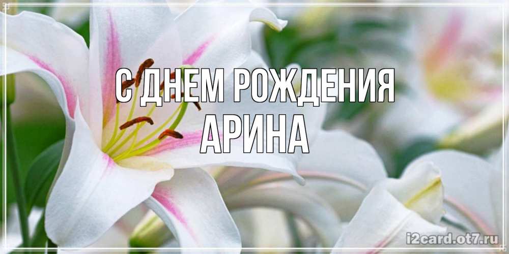 Открытка на каждый день с именем, Арина С днем рождения открытка с белой лилией Прикольная открытка с пожеланием онлайн скачать бесплатно 