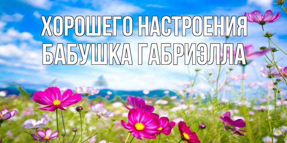 Открытка на каждый день с именем, Бабушка-Габриэлла Хорошего настроения поле цветов Прикольная открытка с пожеланием онлайн скачать бесплатно 
