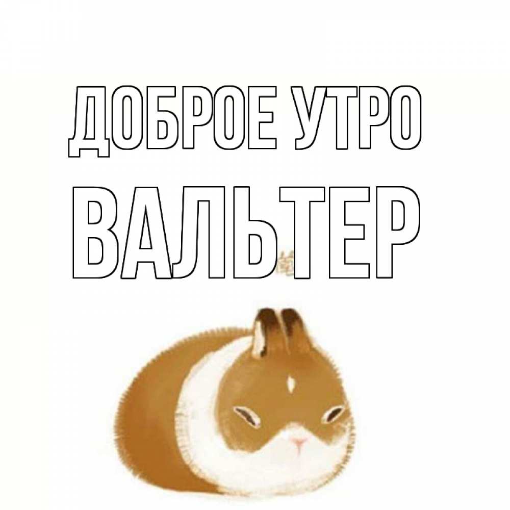 Открытка на каждый день с именем, Вальтер Доброе утро хорошего утречка Прикольная открытка с пожеланием онлайн скачать бесплатно 