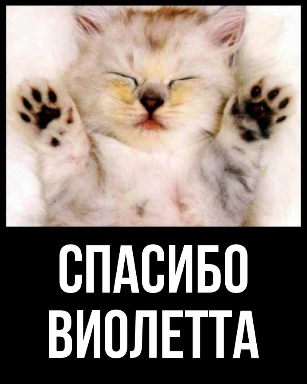 Открытка на каждый день с именем, Виолетта Спасибо маленький котенок Прикольная открытка с пожеланием онлайн скачать бесплатно 