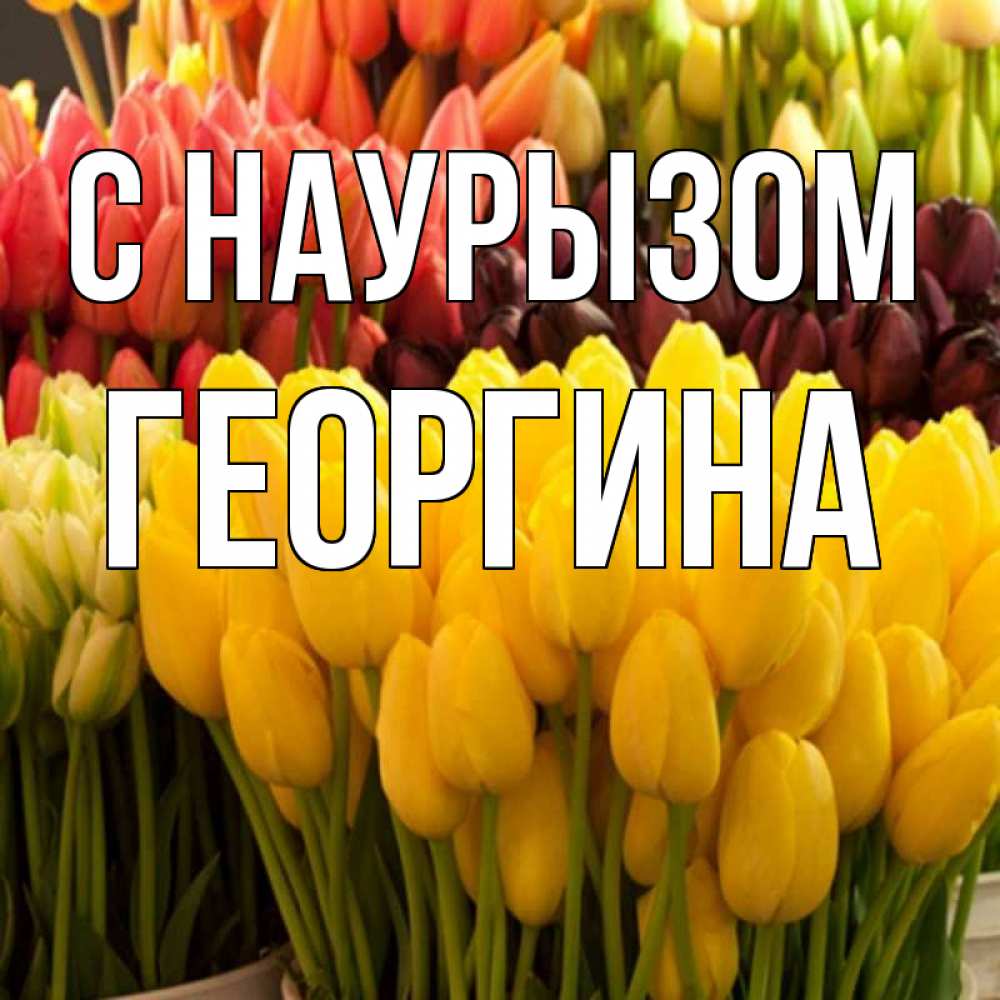 Открытка на каждый день с именем, Георгина С наурызом цветы Прикольная открытка с пожеланием онлайн скачать бесплатно 