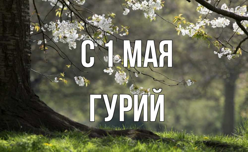 Открытка на каждый день с именем, Гурий С 1 мая С 1 мая Прикольная открытка с пожеланием онлайн скачать бесплатно 