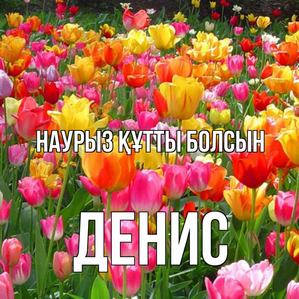 Открытка на каждый день с именем, Денис Наурыз құтты болсын на наурыз  ура ура Прикольная открытка с пожеланием онлайн скачать бесплатно 