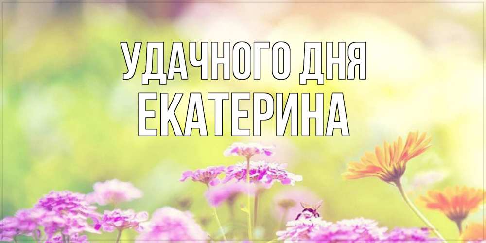 Открытка на каждый день с именем, Екатерина Удачного дня красивая открытка с летней темой Прикольная открытка с пожеланием онлайн скачать бесплатно 
