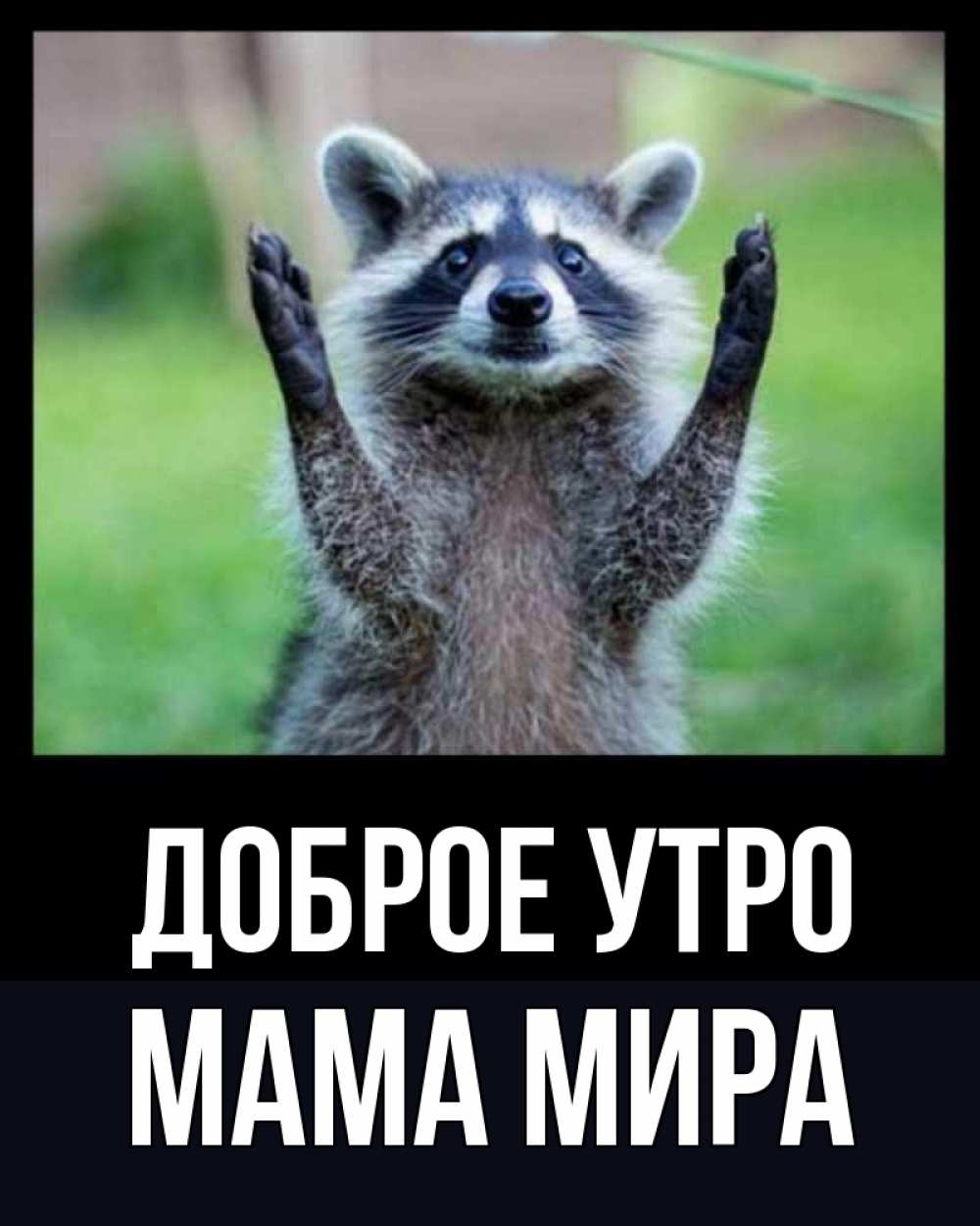 Открытка на каждый день с именем, Мама-Мира Доброе утро хорошее настроение утречком Прикольная открытка с пожеланием онлайн скачать бесплатно 