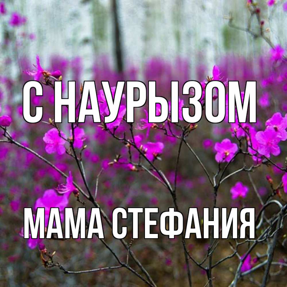 Открытка на каждый день с именем, Мама-Стефания С наурызом дикие цветы Прикольная открытка с пожеланием онлайн скачать бесплатно 