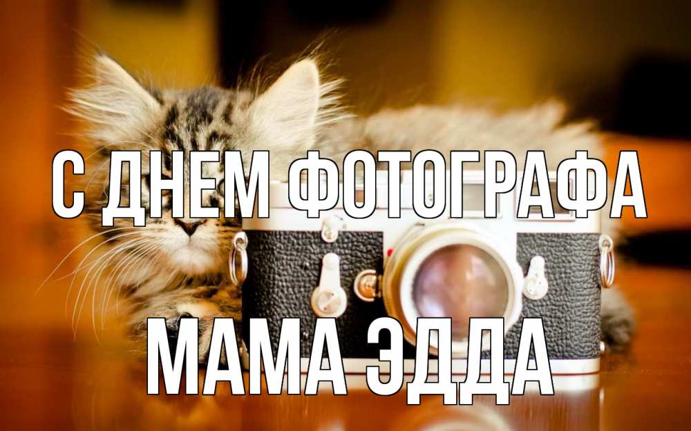 Открытка на каждый день с именем, Мама-Эдда С днем фотографа с днем фотографа Прикольная открытка с пожеланием онлайн скачать бесплатно 