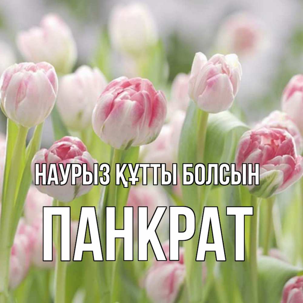 Открытка на каждый день с именем, Панкрат Наурыз құтты болсын цветы Прикольная открытка с пожеланием онлайн скачать бесплатно 