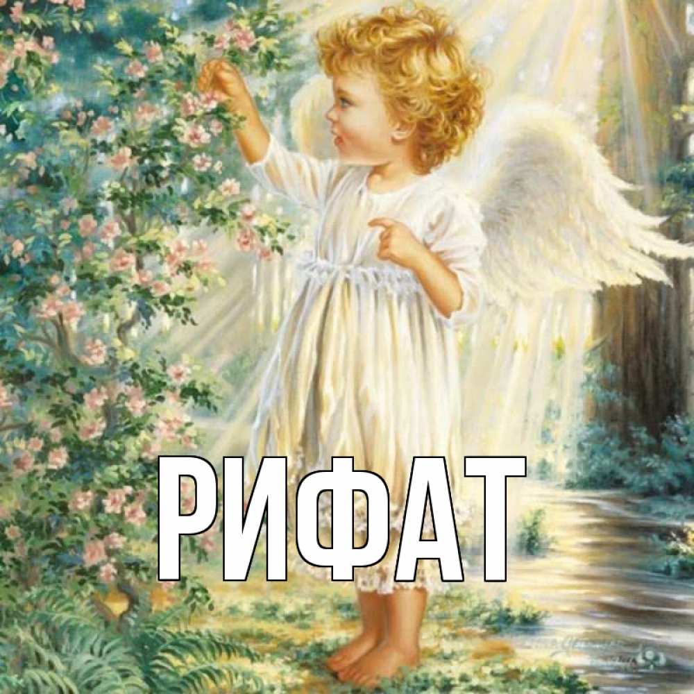 Открытка на каждый день с именем, Рифат Главная собирает цветы Прикольная открытка с пожеланием онлайн скачать бесплатно 