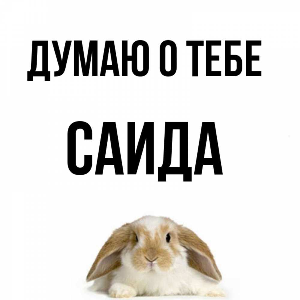 Открытка на каждый день с именем, Саида Думаю о тебе подписать своими руками онлайн Прикольная открытка с пожеланием онлайн скачать бесплатно 