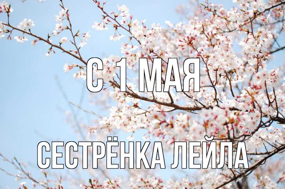Открытка на каждый день с именем, Сестрёнка-Лейла С 1 мая С 1 мая Прикольная открытка с пожеланием онлайн скачать бесплатно 