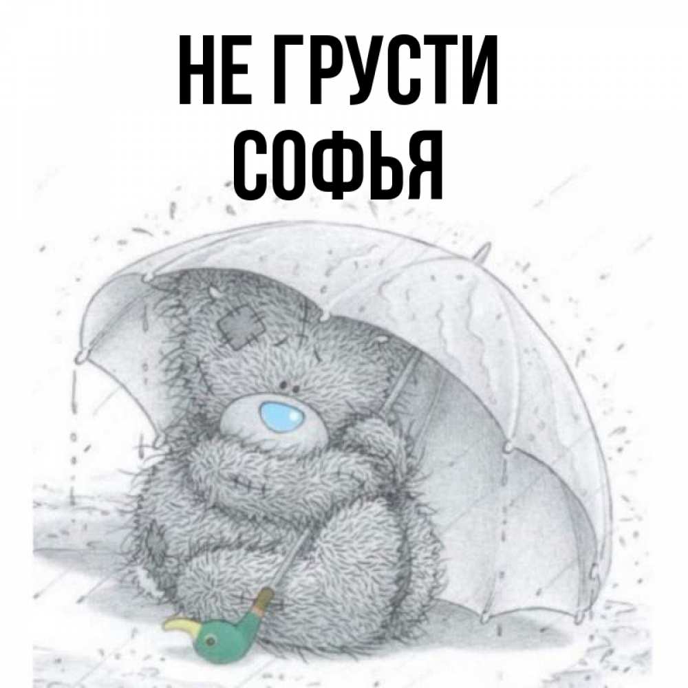 Открытка на каждый день с именем, Софья Не грусти спасите мишку Тедди Прикольная открытка с пожеланием онлайн скачать бесплатно 