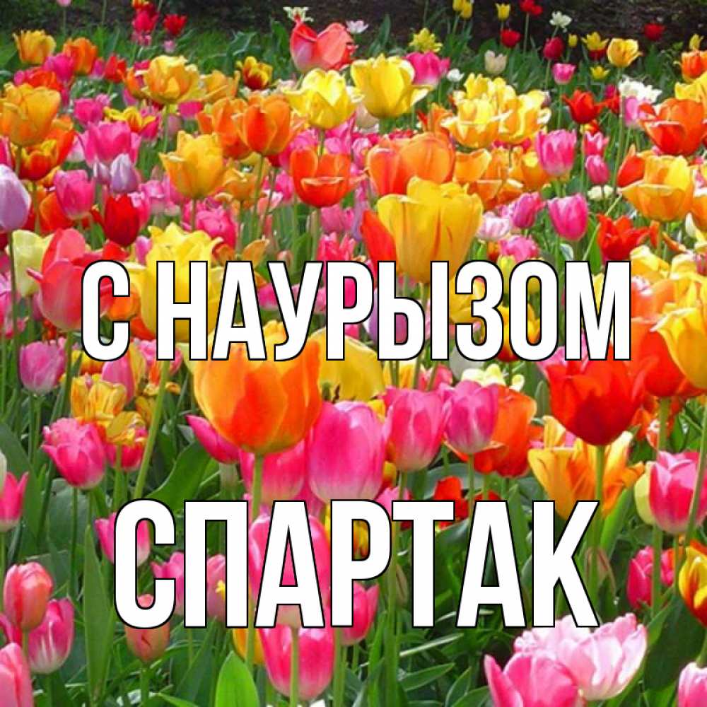 Открытка на каждый день с именем, Спартак С наурызом праздник весны наурыз 4 Прикольная открытка с пожеланием онлайн скачать бесплатно 
