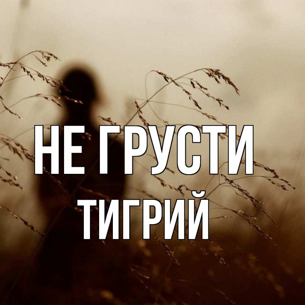Открытка на каждый день с именем, Тигрий Не грусти грусть Прикольная открытка с пожеланием онлайн скачать бесплатно 