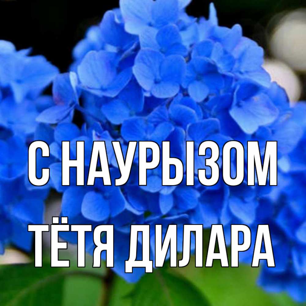 Открытка на каждый день с именем, Тётя-Дилара С наурызом синие цветы Прикольная открытка с пожеланием онлайн скачать бесплатно 